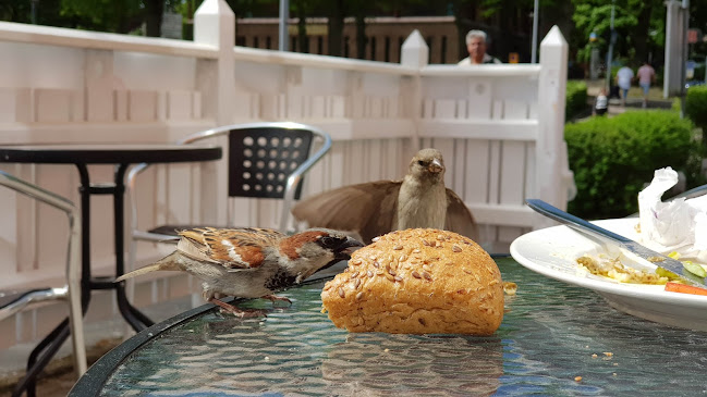 Opinii despre Café Fontaine în Växjö - Gastronomi och hotellverksamhet