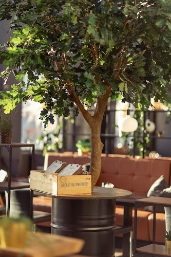 Comentarii opinii despre The Social Bar & Bistro