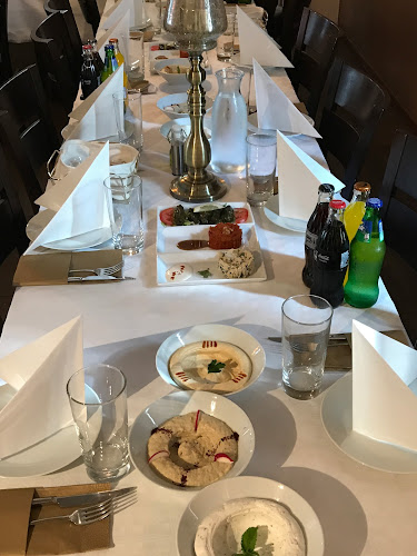 Comentarii opinii despre Restaurang liban