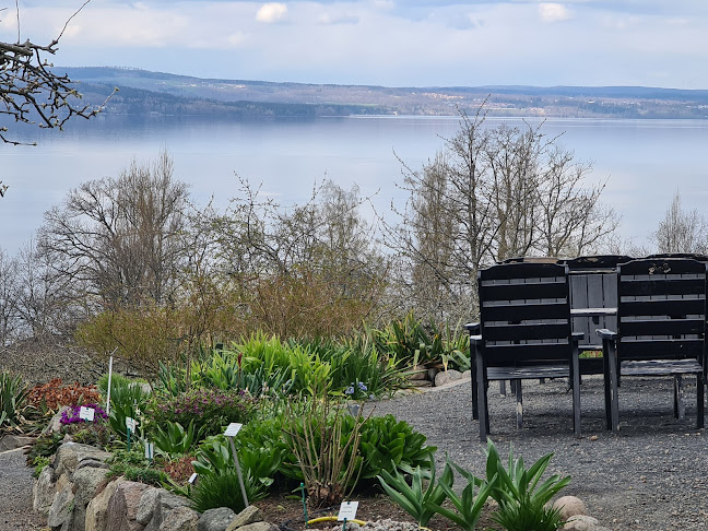 Comentarii opinii despre Brunstorps Trädgårdscafé