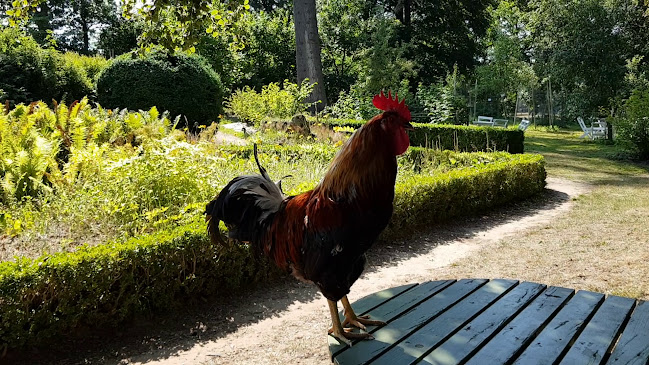 Östarps Gästgivaregård - Gastronomi och hotellverksamhet