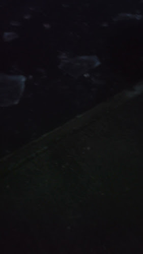 Kafé Sjöstugan - Gastronomi och hotellverksamhet