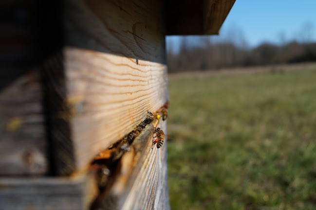 Hammarvägen 8, 387 35 Borgholm