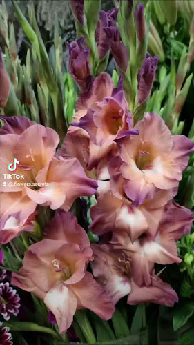 Opinii despre Blomsterjouren - Blommor Vasastan în Stockholm - Gastronomi och hotellverksamhet