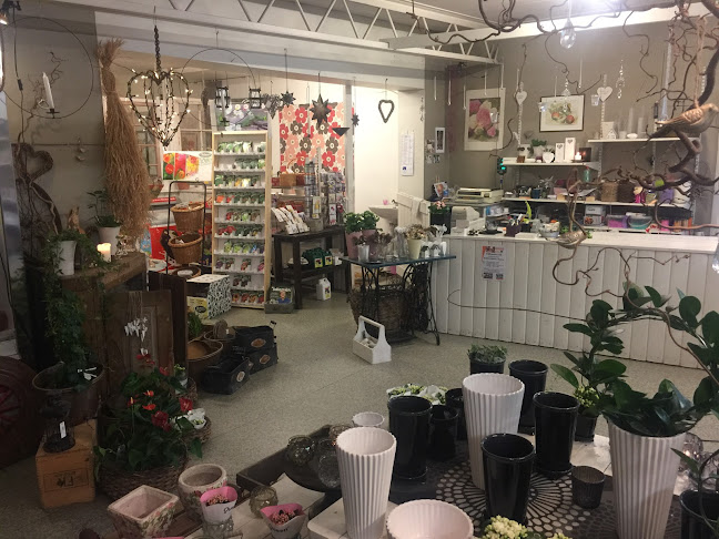 Äppelmynta Open Times