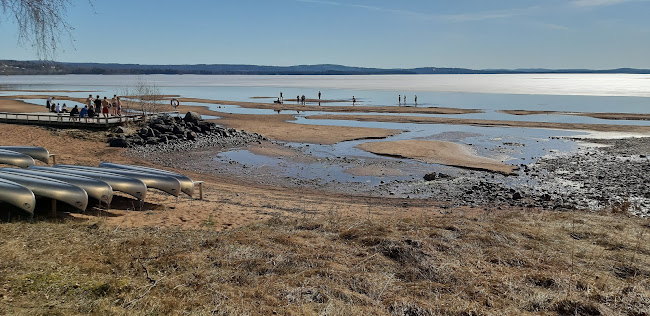 Kafé Nyfiket - Gastronomi och hotellverksamhet