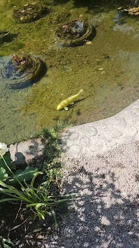 Orangeriet Restaurang - Gastronomi och hotellverksamhet