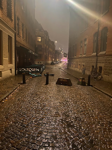 Restaurang Solrosen - Gastronomi och hotellverksamhet