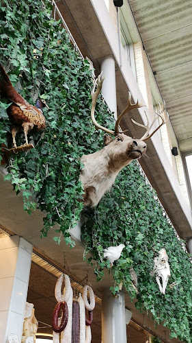 Comentarii opinii despre Kville saluhall