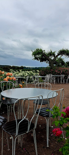 Bosjökloster Trädgårdscaféet - en del av Bosjökloster Slott - Gastronomi och hotellverksamhet