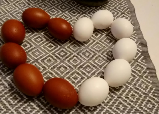 Comentarii opinii despre Pelle och Maries kafé i Viby