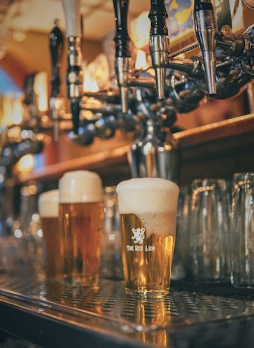 Comentarii opinii despre The Red Lion