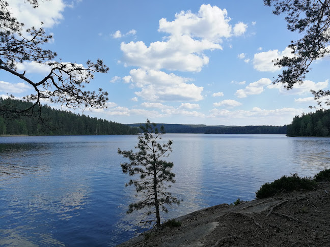 Årjängs Golfkrog - Gastronomi och hotellverksamhet
