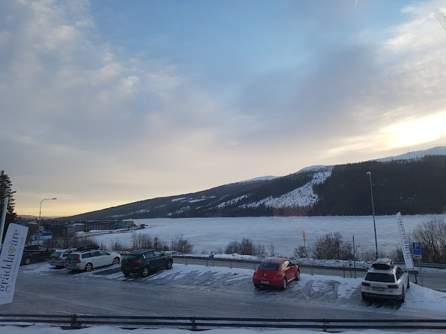 Comentarii opinii despre Grädda Bageri Åre