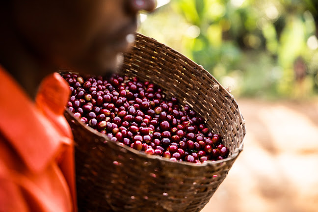 Polhemsgatan 30, 392 32 Kalmar