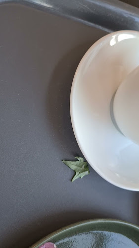 Reviews of Elvebäcks Bageri och konditori in Östersund - Gastronomi och hotellverksamhet