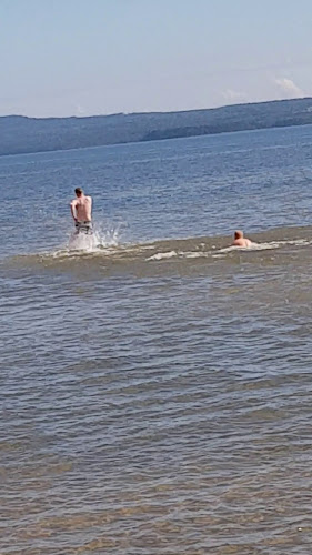 Kinnevikens Mat - Lidköping