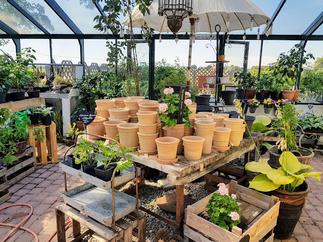 Österlenkryddor - Köpingebro