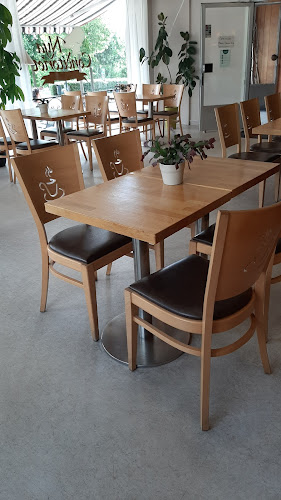 Fenix ​​- Bakery, Tea Room & Café - Gastronomi och hotellverksamhet