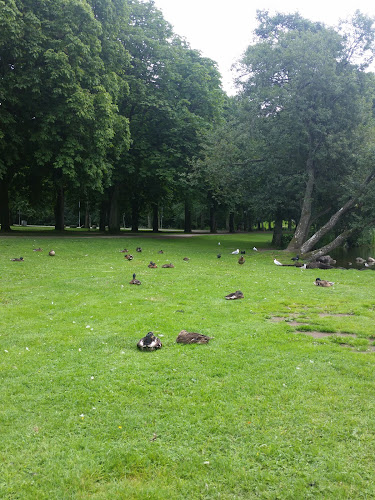 Café Våfflan Phone number