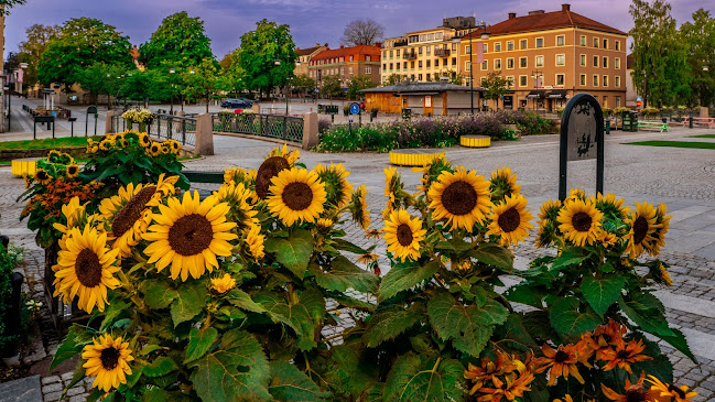 Opinii despre Lilla torget Alingsås în Alingsås - Gastronomi och hotellverksamhet