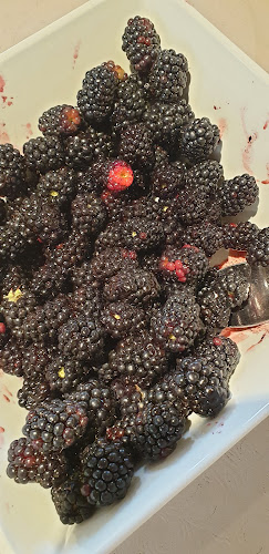 Hörrs byaväg 272, 275 92 Sjöbo