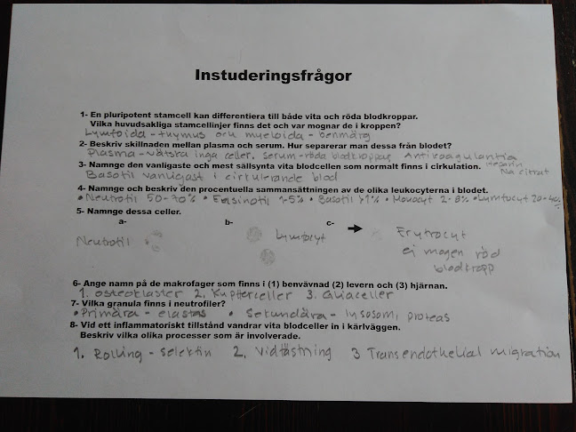 Donsö hamnväg 21, 430 82 Donsö