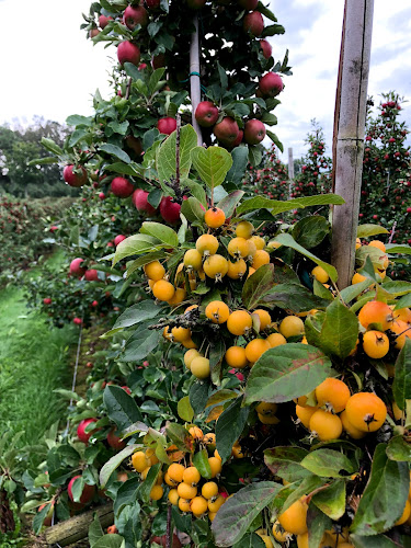 Comments and reviews of Äppledalen Kaxholmen