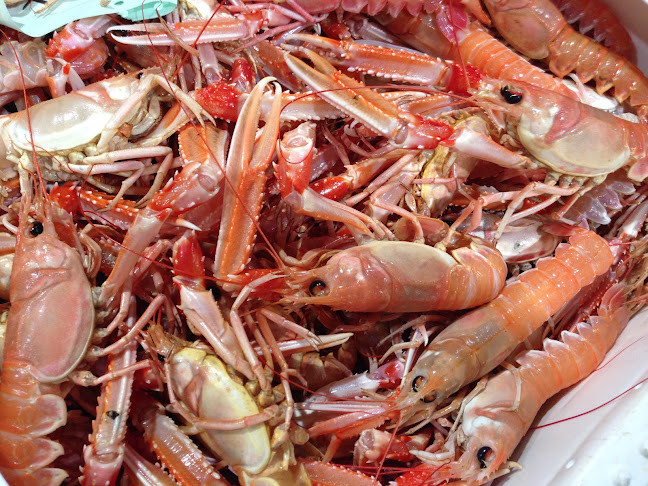 Comentarii opinii despre Korshags Food AB