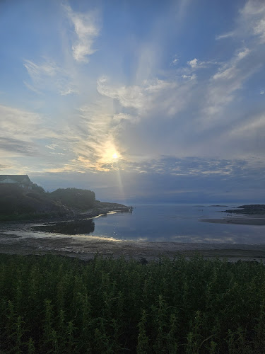 Comentarii opinii despre Lerkilsbaren - Restaurang/Bar Vallda