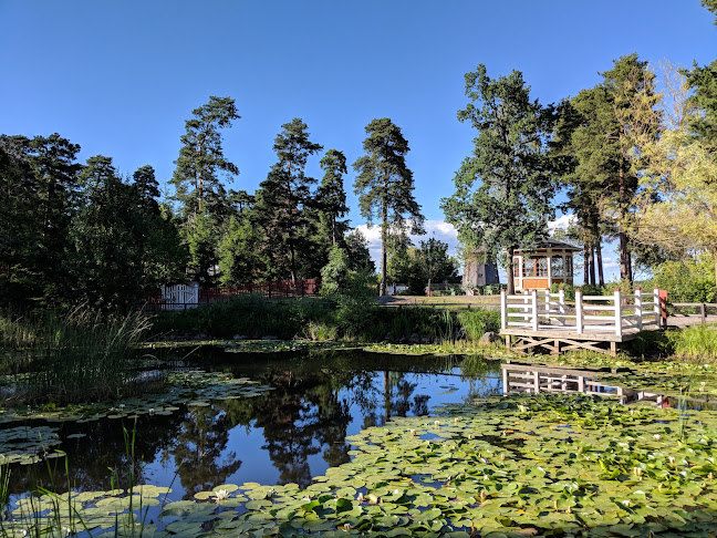 Konditori Bellevue Open Times