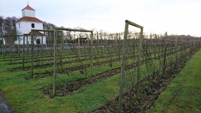 Ivögården Mat & Vingård - Fjälkinge