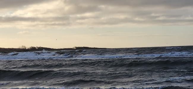 Göstas Café och Restaurang - Steninge