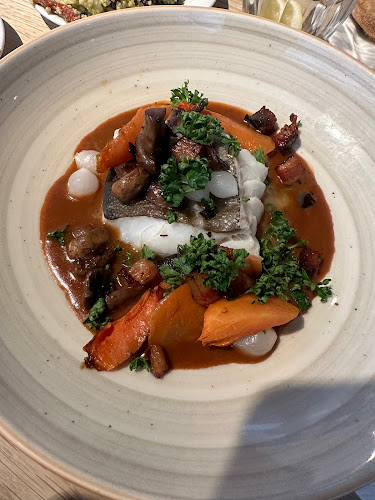 Comments and reviews of SMAK