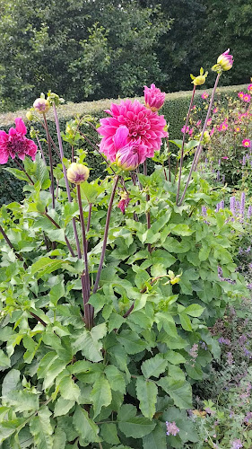 Bosjökloster 110, 243 95 Höör