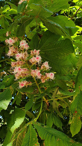 Trolle Ljungbyvägen 267, 290 34 Fjälkinge