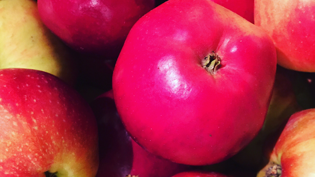 Reviews of Äppledalen Kaxholmen in Huskvarna - Gastronomi och hotellverksamhet