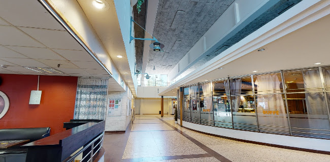 Comentarii opinii despre Baloo Grillen