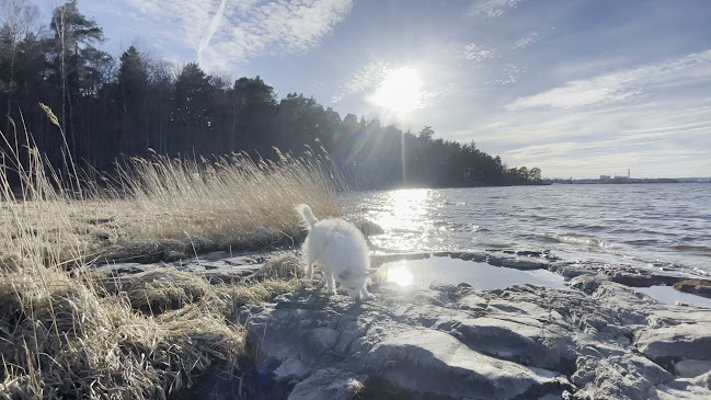 Opinii despre Abborrebergs Veranda în Norrköping - Gastronomi och hotellverksamhet
