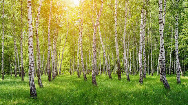 Reviews of rEKO Mat och Dryck in Karlshamn - Gastronomi och hotellverksamhet