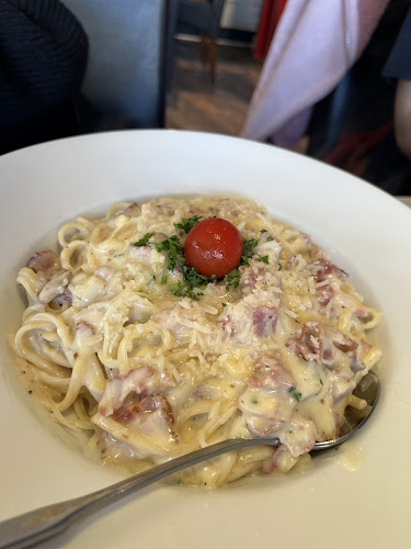 Comentarii opinii despre Mr Tomato backaplan