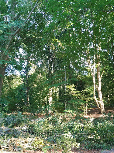 Skogshyddans café - Gastronomi och hotellverksamhet