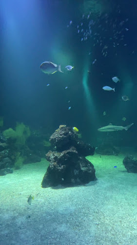 Universeum (RESTAURANG) - Göteborg