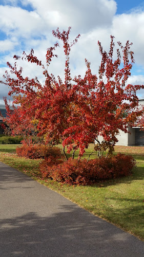 Opinii despre Kost - Sveaköket în Västerås - Gastronomi och hotellverksamhet