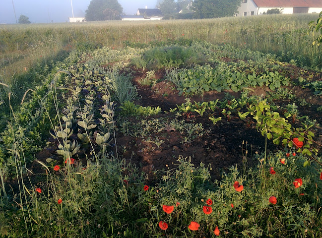 Jord & Bord Örnahusen - Gastronomi och hotellverksamhet