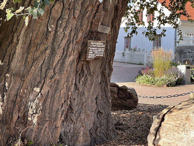 Johans Krog Open Times