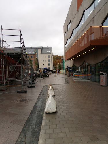 Lisa Sass gata 7, 422 53 Hisings Backa