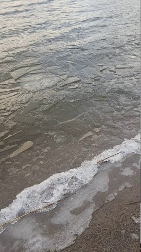 The Tea Centre of Stockholm - Gastronomi och hotellverksamhet