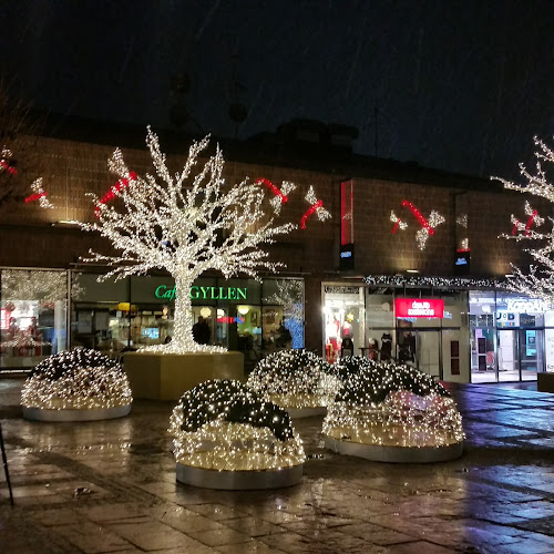 Comments and reviews of Linds Gyllen