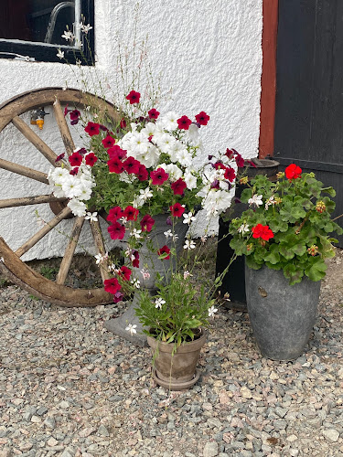 Blomsterlycka Gård - By Kyrkby